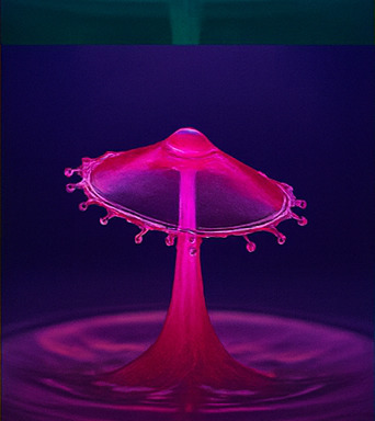 몰입형 모험 체험